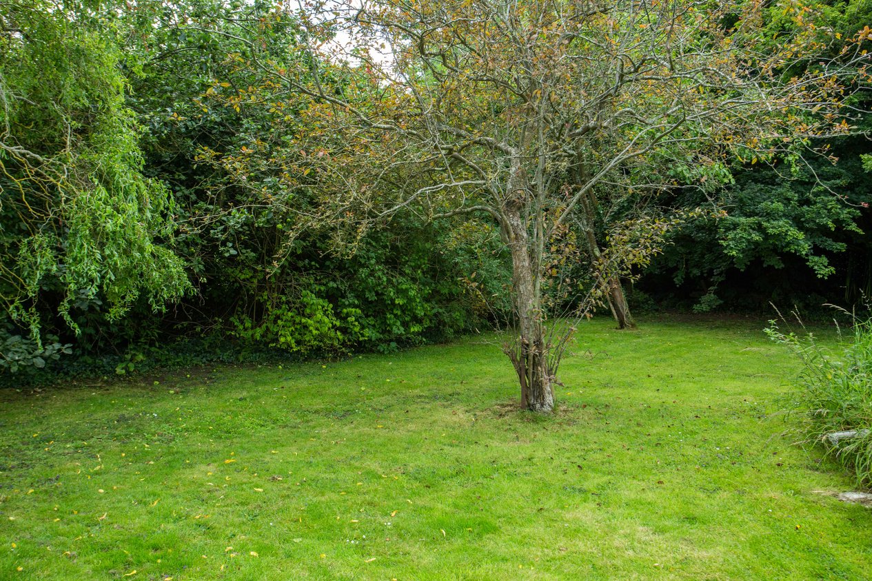 Properties For Sale in Bogshole Lane Whitstable