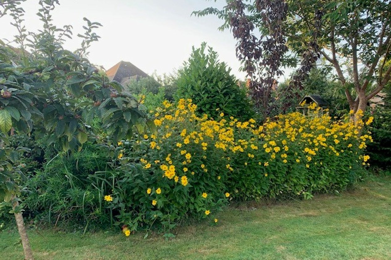 Properties For Sale in Broadfield Road  Folkestone