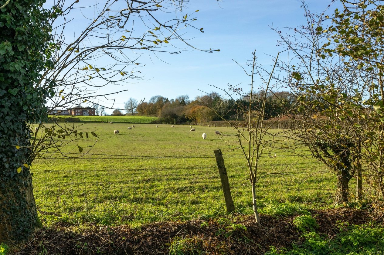 Properties For Sale in Calleywell Lane Aldington