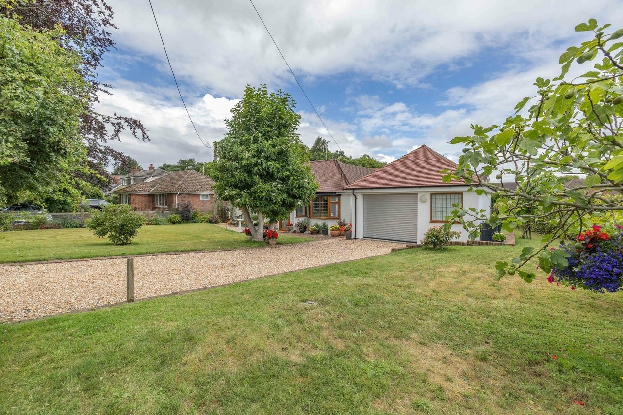 Properties For Sale in Canterbury Road Ashford