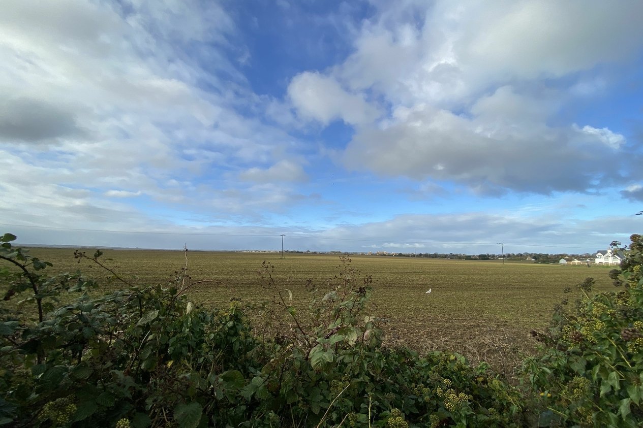 Properties For Sale in Canterbury Road 