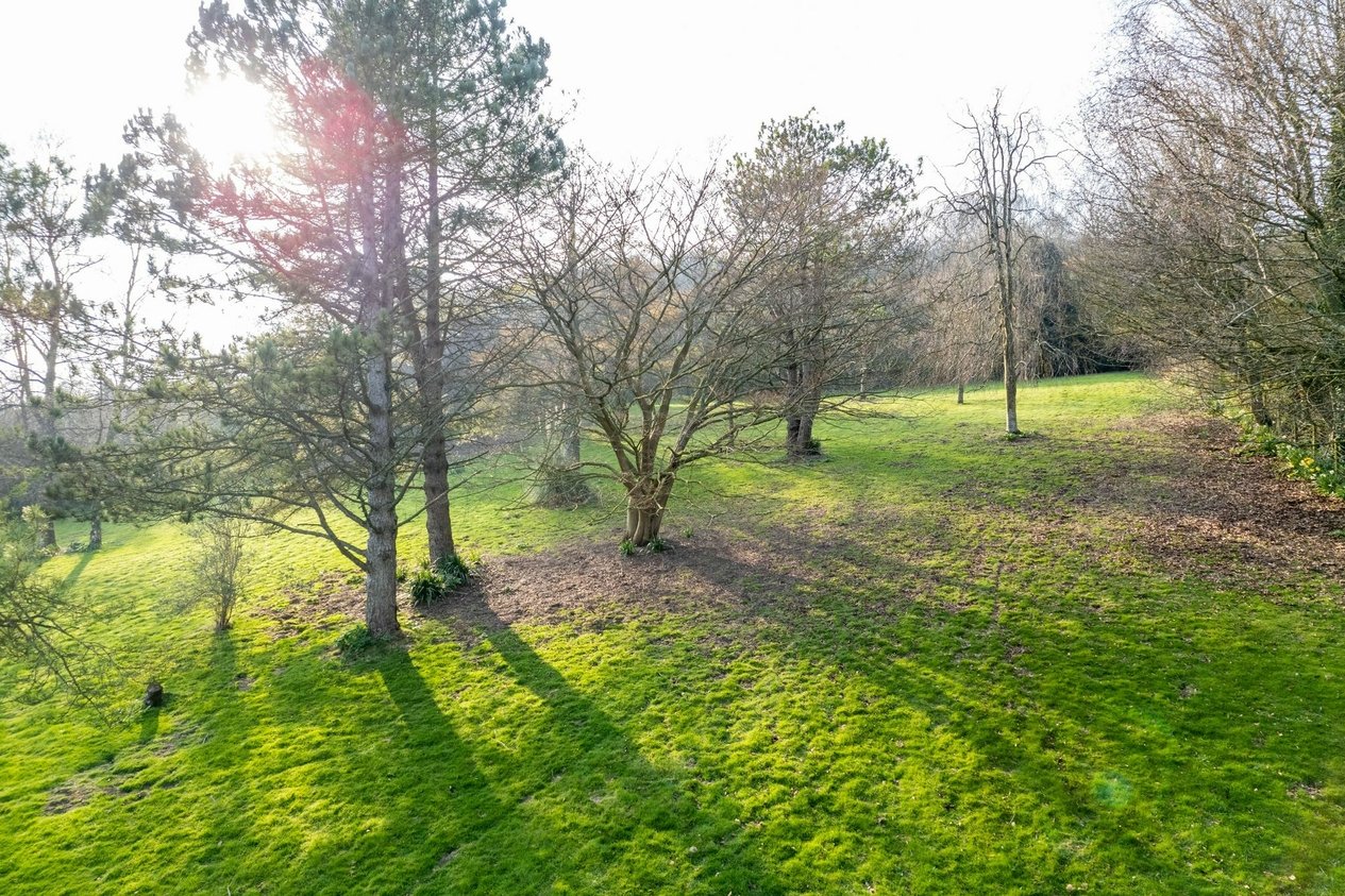 Properties For Sale in Canterbury Road  Elham