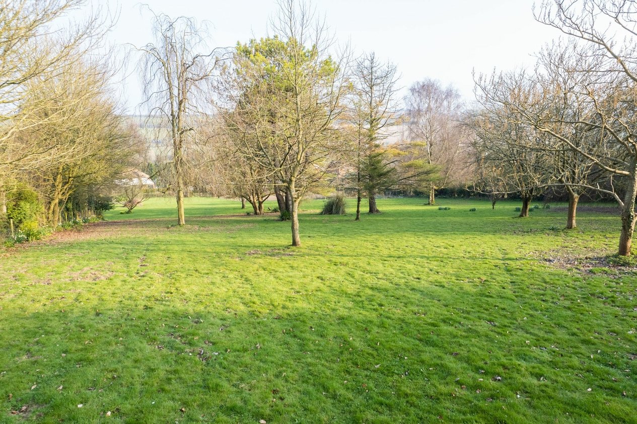 Properties For Sale in Canterbury Road  Elham