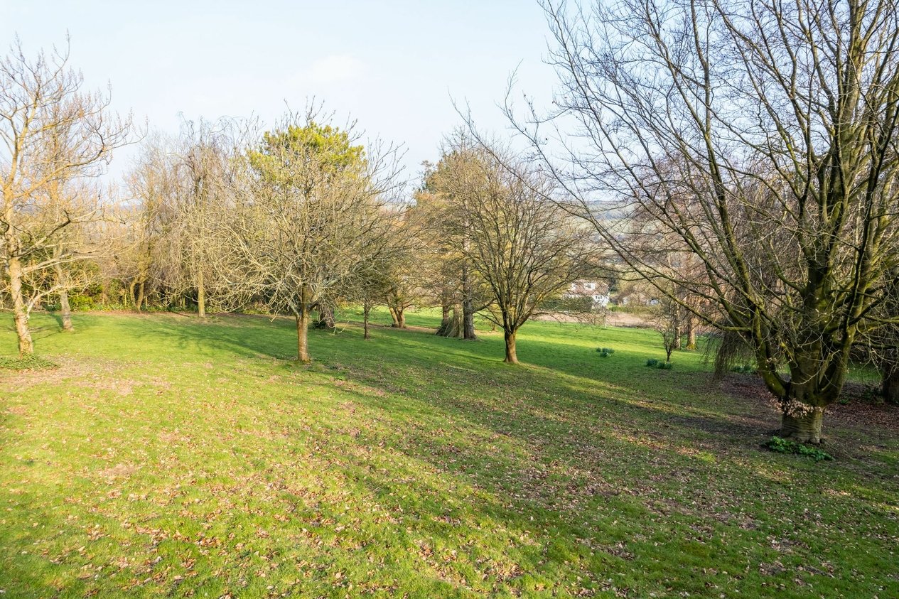 Properties For Sale in Canterbury Road  Elham