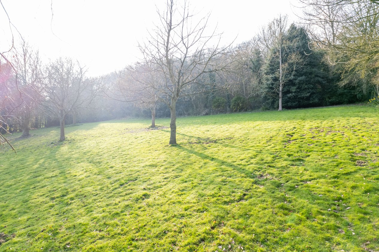 Properties For Sale in Canterbury Road Elham