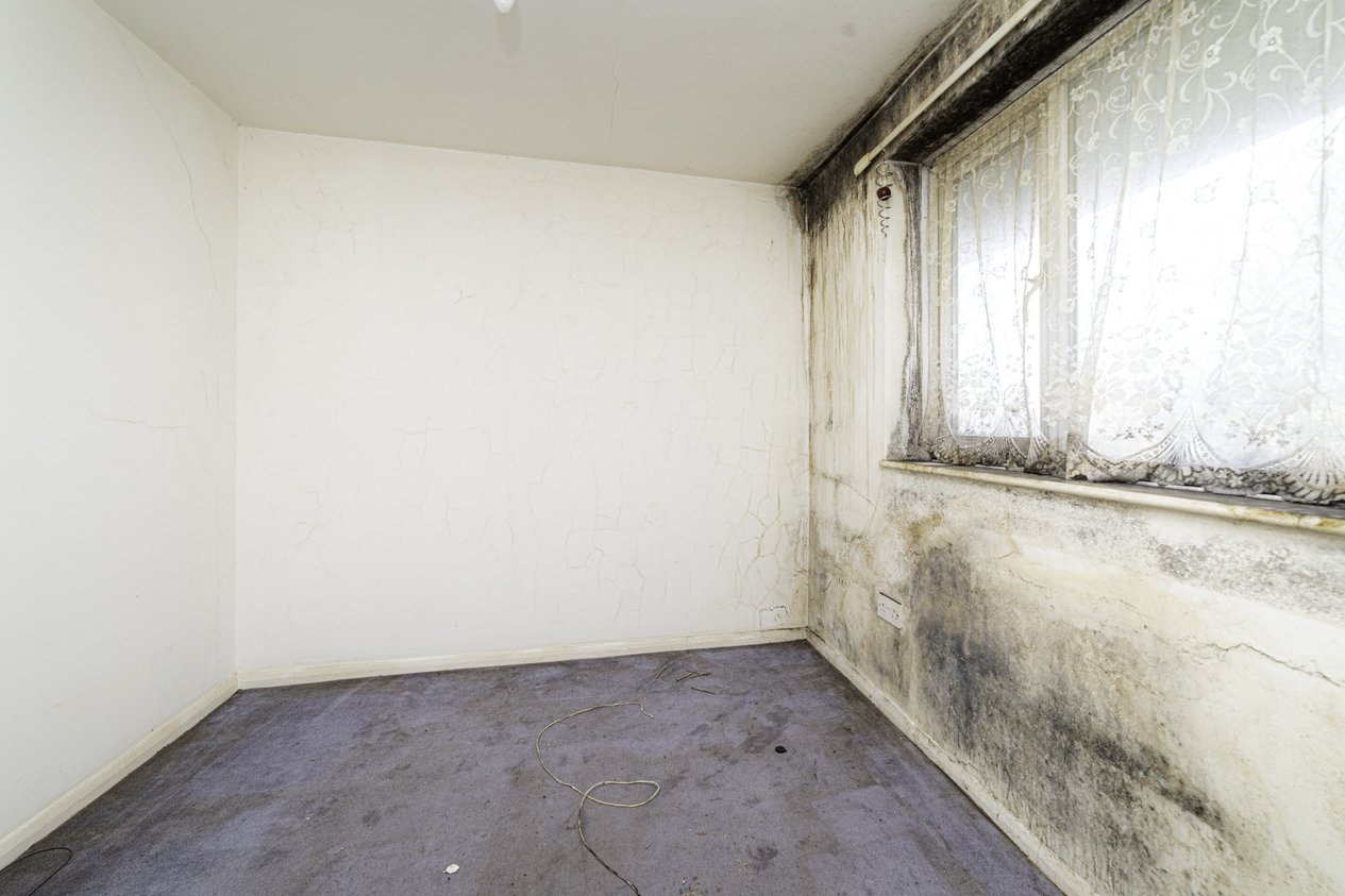 Properties For Sale in Collingwood Rise Folkestone
