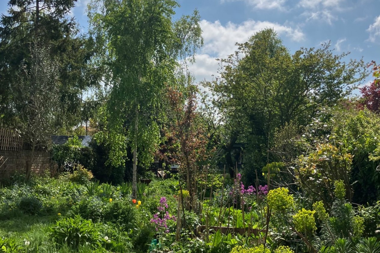 Properties For Sale in Ethelbert Road Faversham