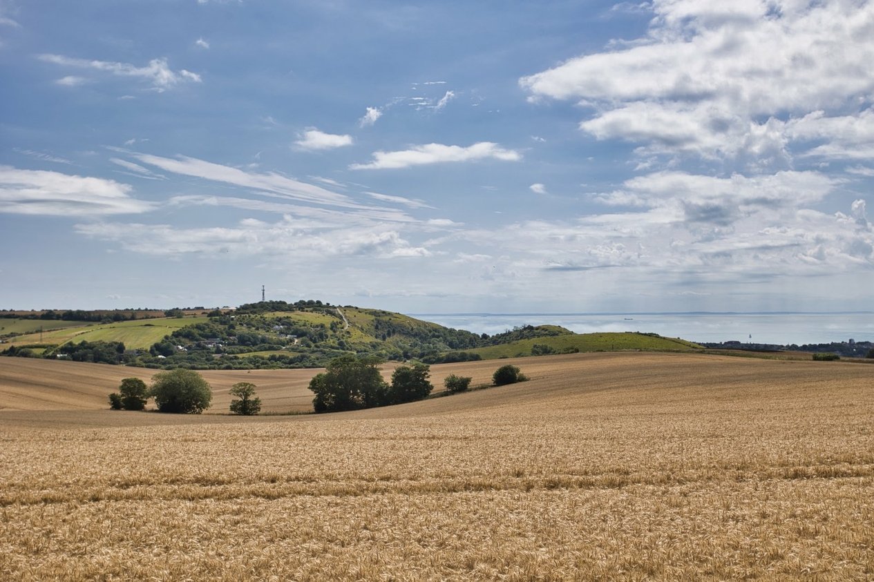 Properties For Sale in Gibraltar Lane Folkestone