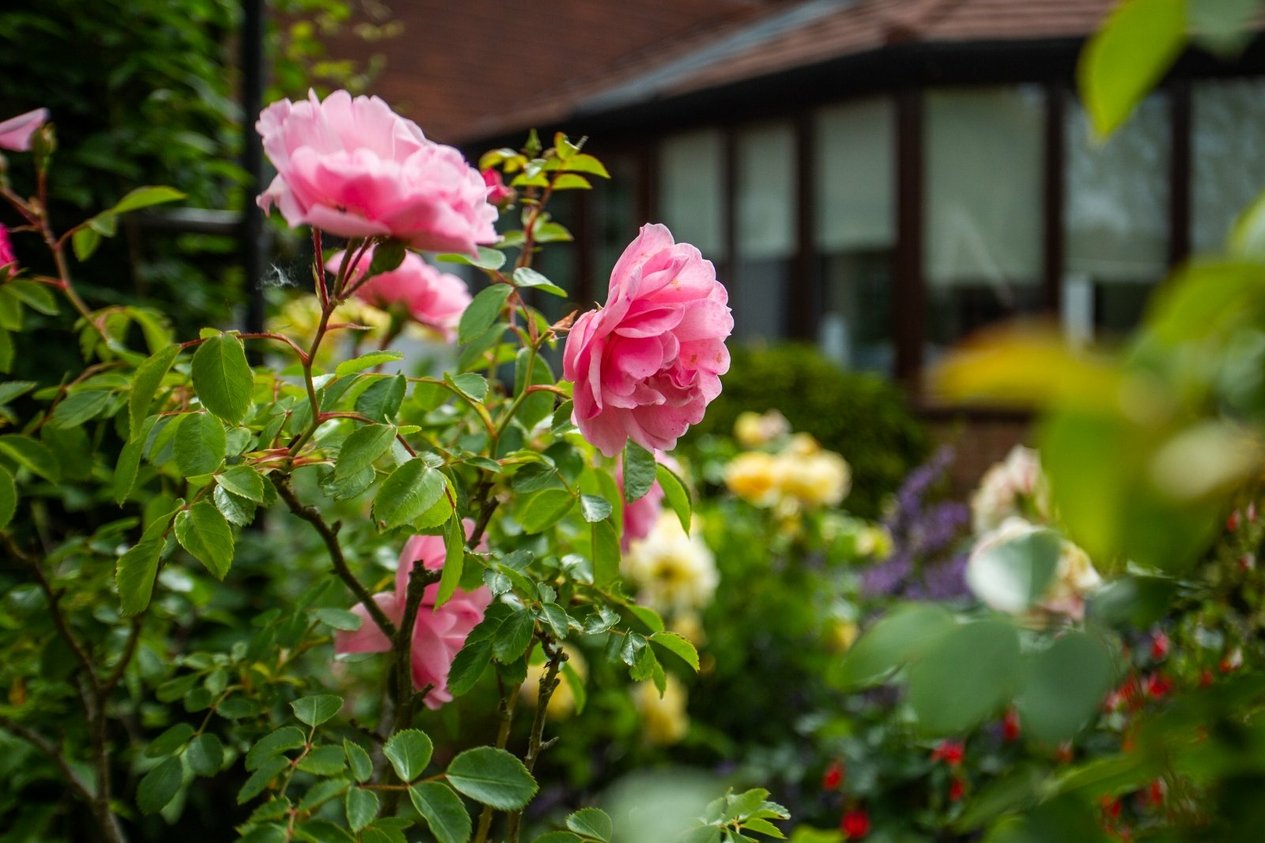 Properties For Sale in Hackington Road Canterbury