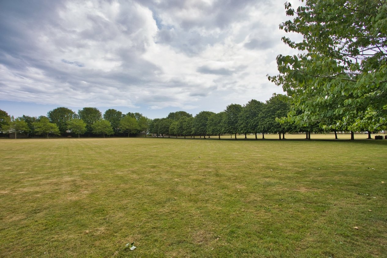 Properties For Sale in Halliday Drive Deal