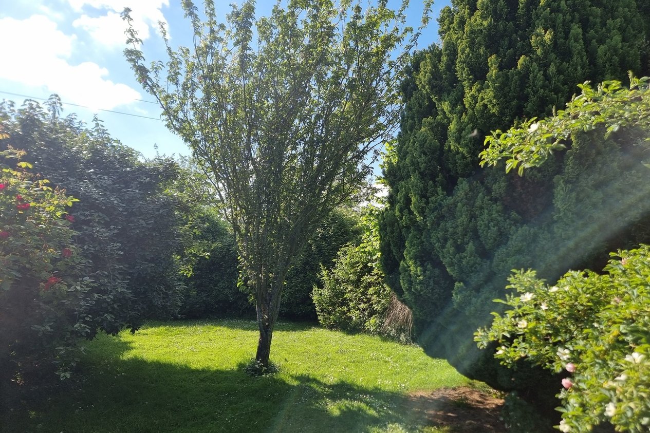 House Detached for sale in Luddenham,Faversham Miles & Barr