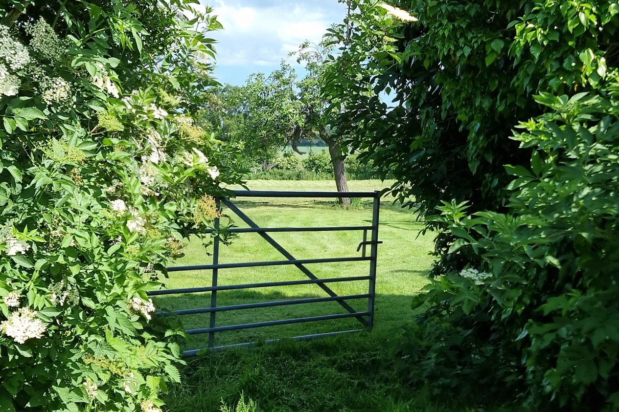 House Detached for sale in Luddenham,Faversham Miles & Barr