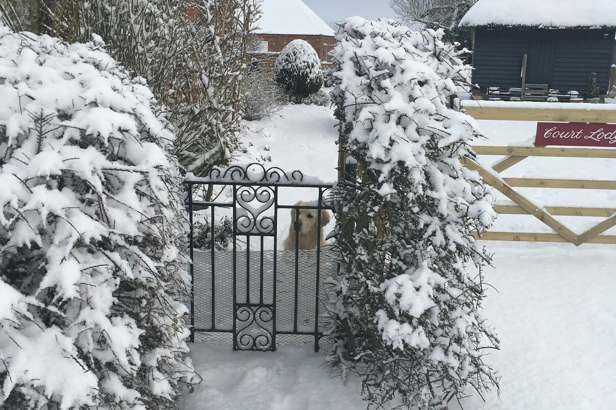 Properties Sold Subject To Contract in Manns Hill  Bossingham