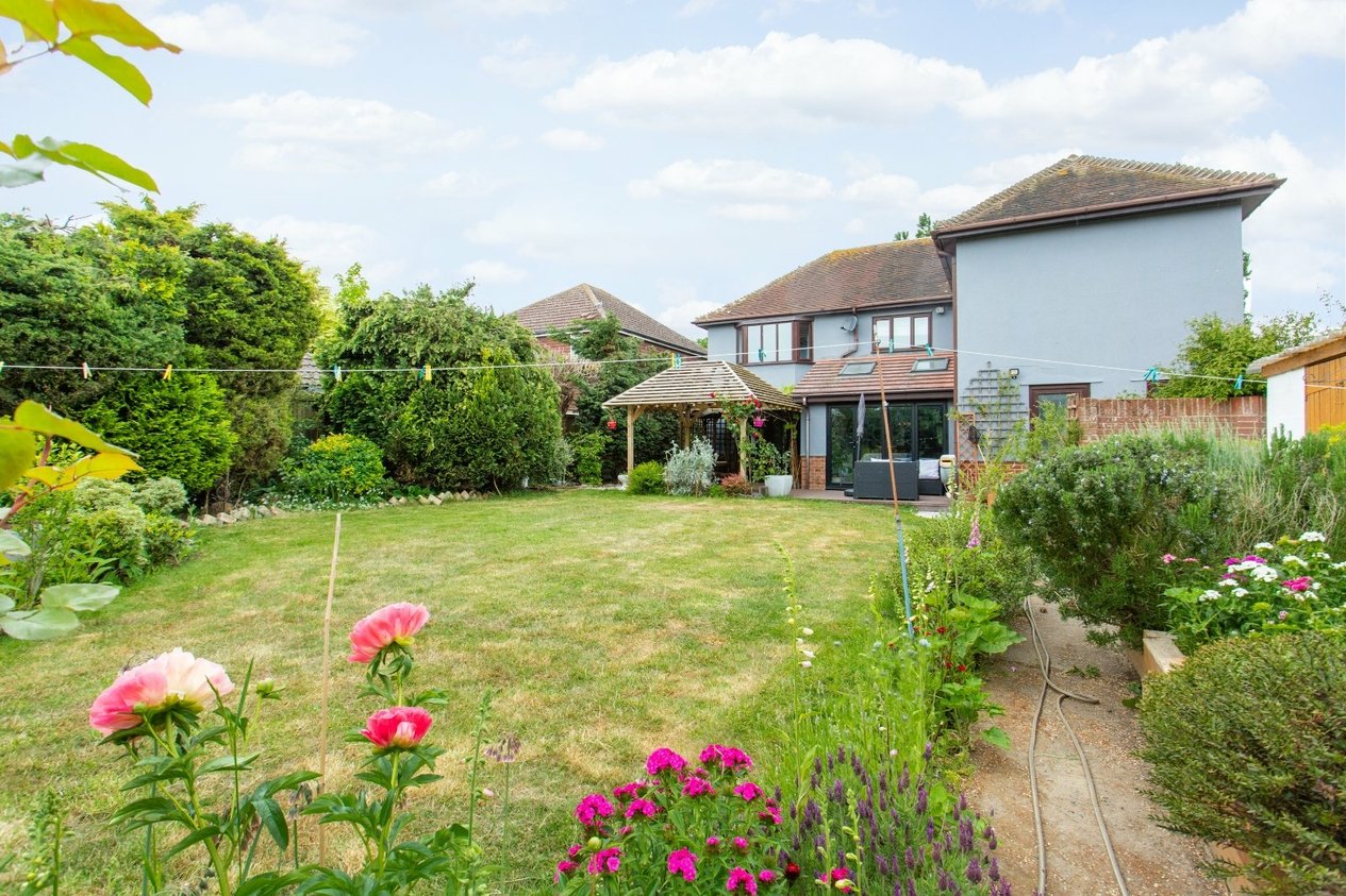 Properties For Sale in Molland Lane Ash