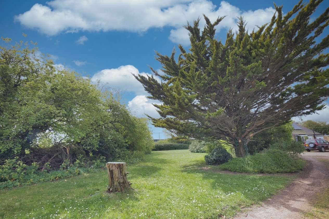 Properties For Sale in Mount Pleasant Minster