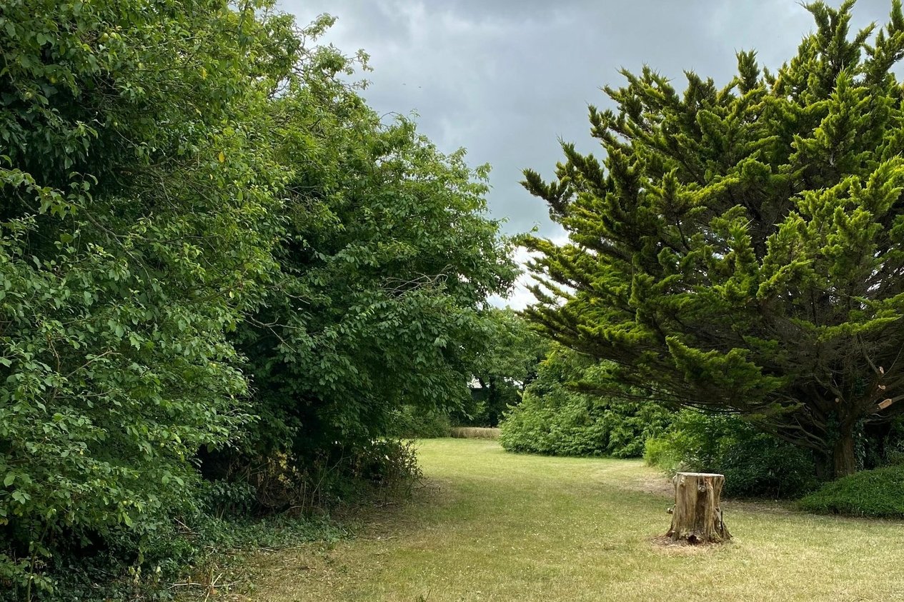 Properties For Sale in Mount Pleasant Minster