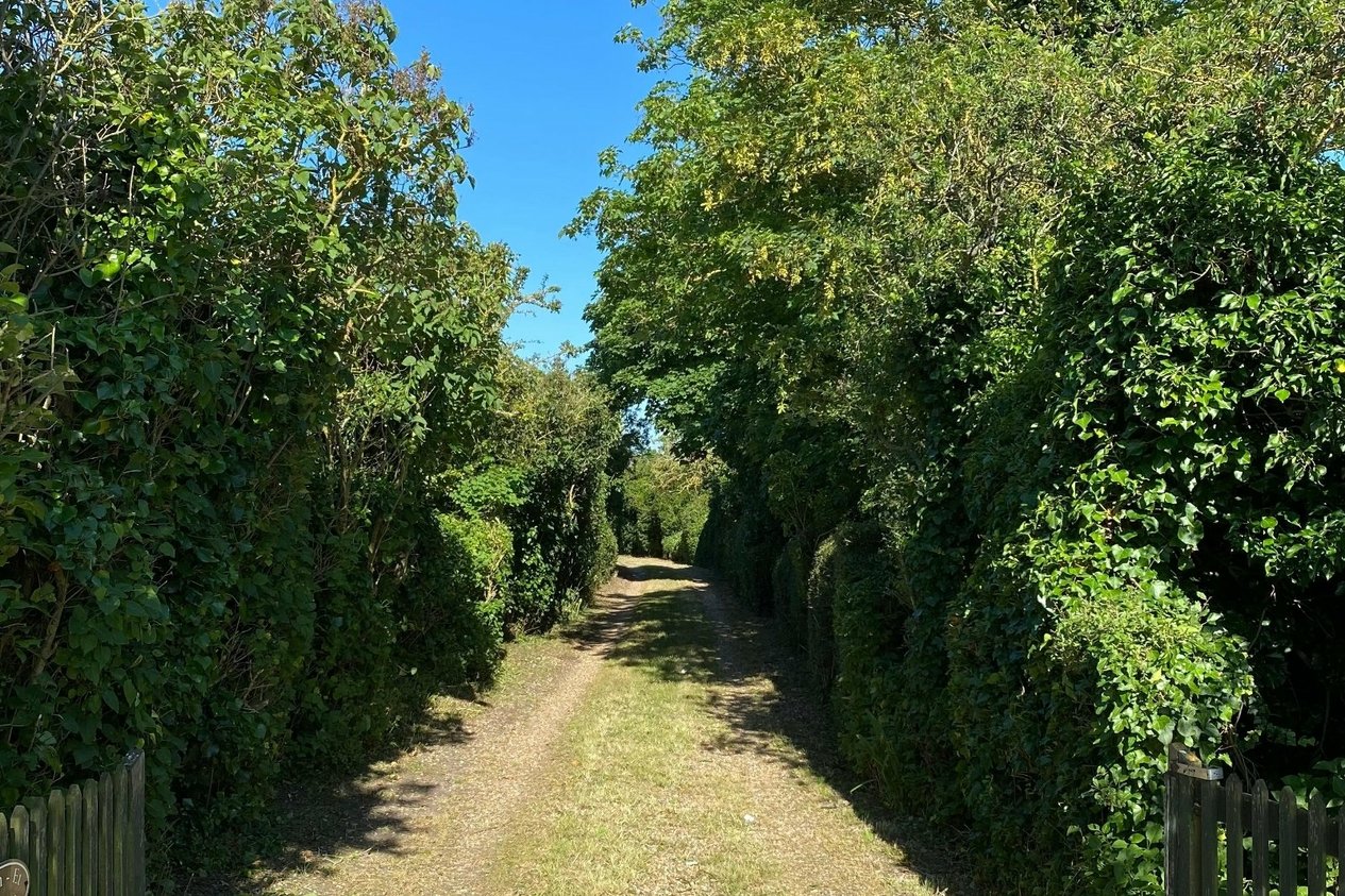 Properties For Sale in Mount Pleasant Minster