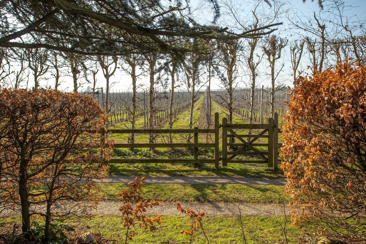 Properties For Sale in North Stream  Marshside