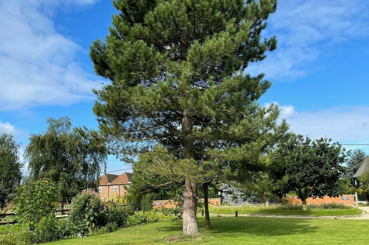 Properties For Sale in North Stream  Marshside