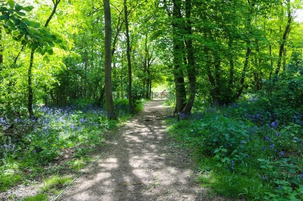 Properties Under Offer in Rushett Lane Norton