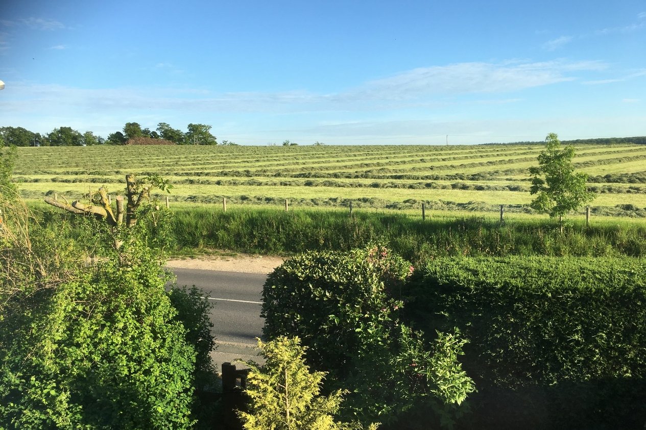 Properties Sold Subject To Contract in Shalmsford Street  Chartham