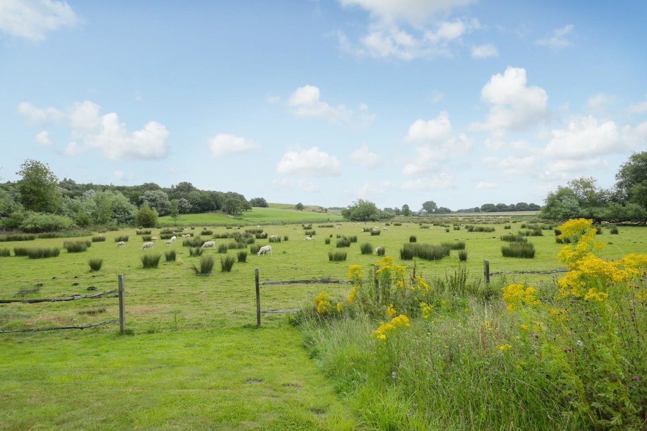 Properties For Sale in St Marys Meadow Wingham