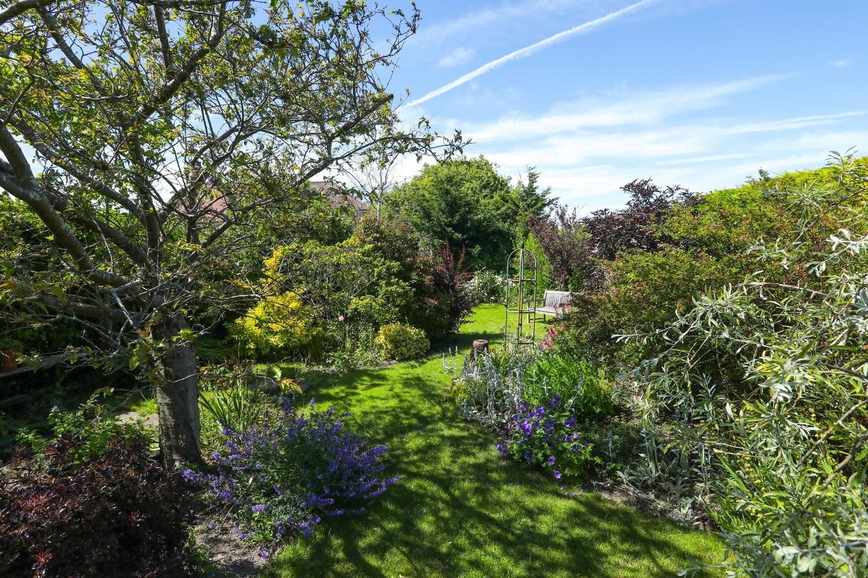 Properties For Sale in The Avenue  Kingsdown