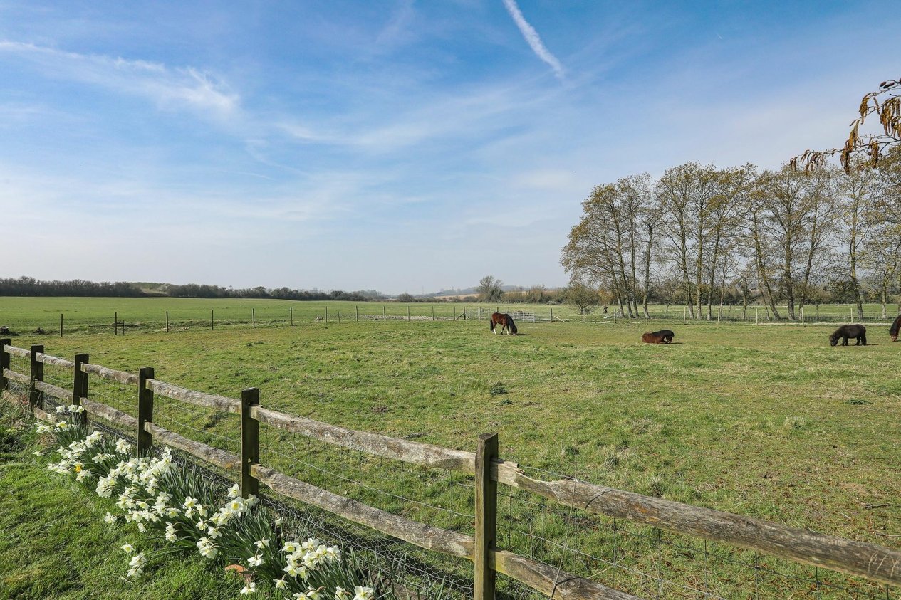 Properties For Sale in The Street  Postling