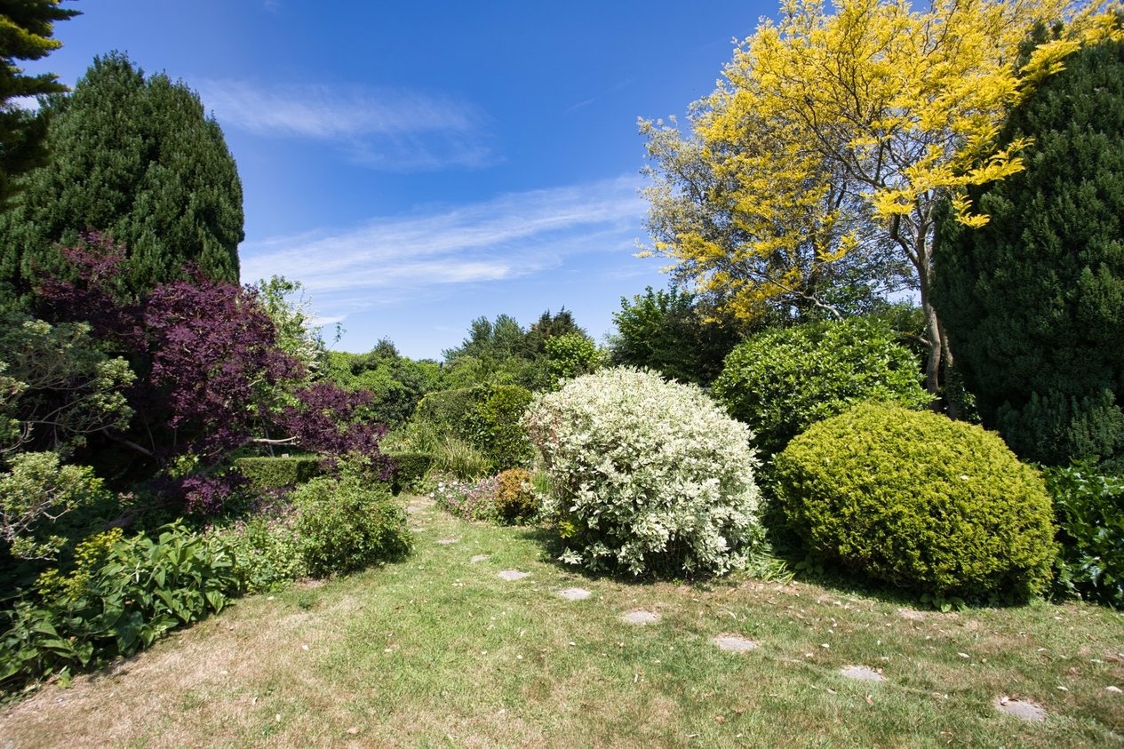 Properties For Sale in The Street Sholden