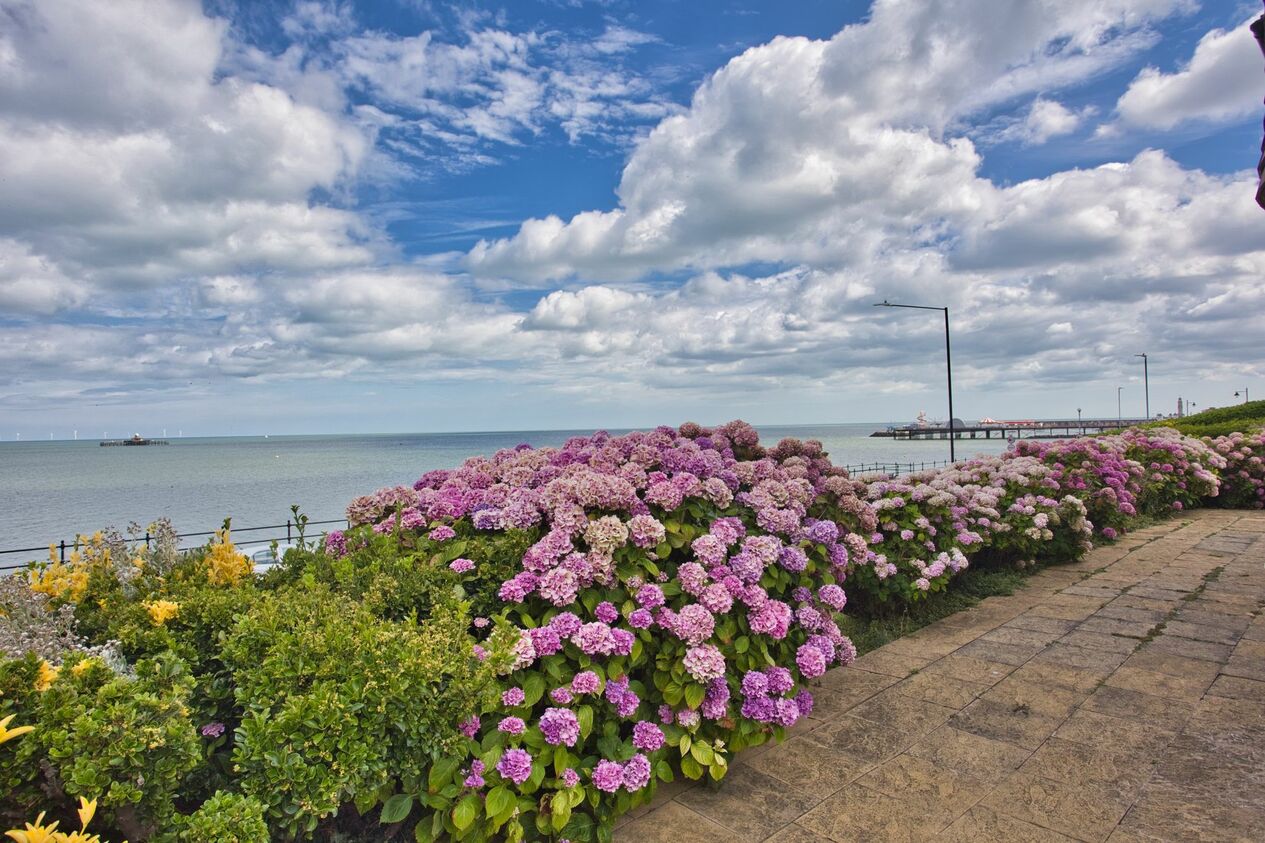 Properties For Sale in Western Esplanade  Herne Bay