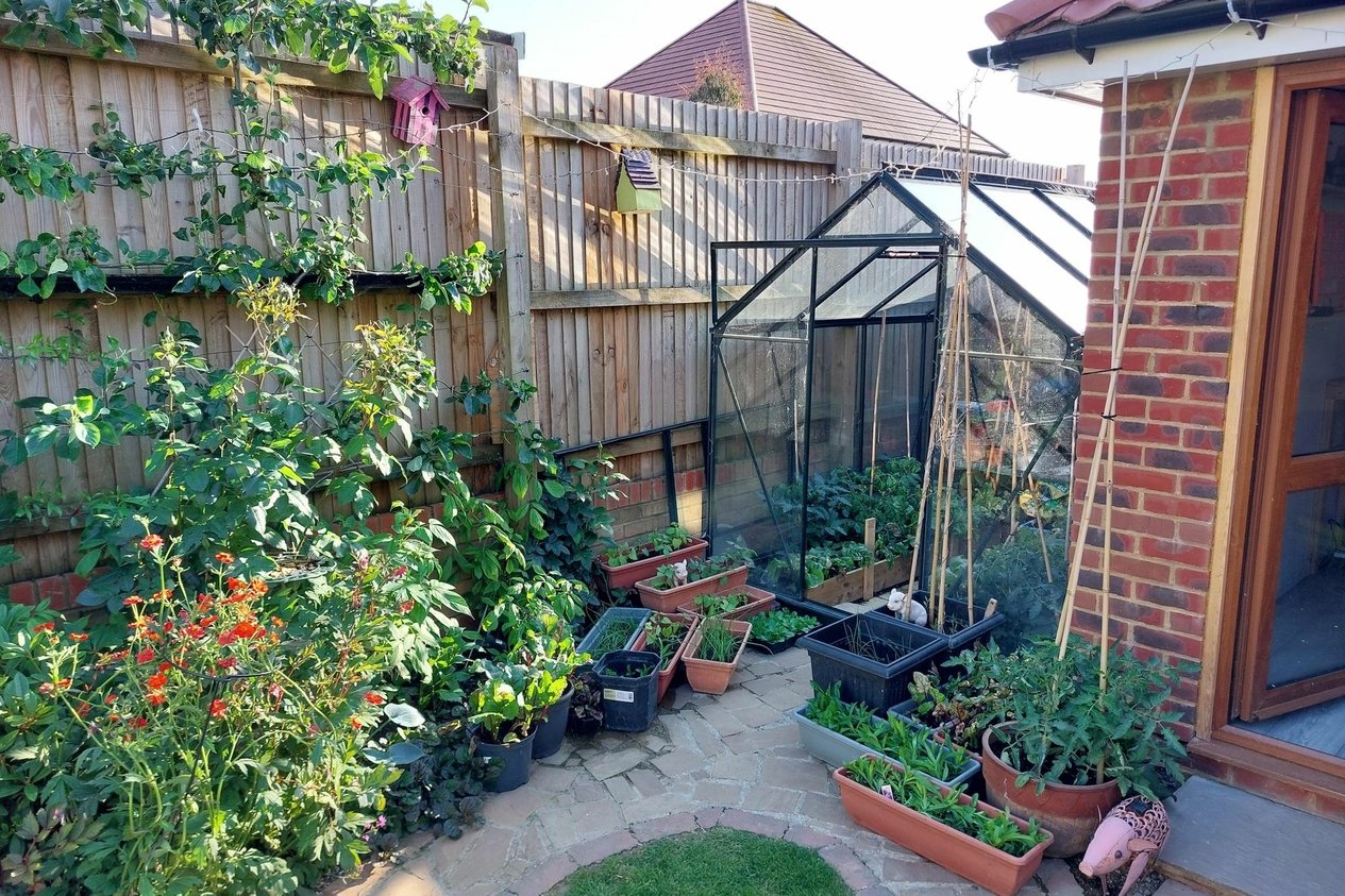 Properties For Sale in Winder Place  Aylesham
